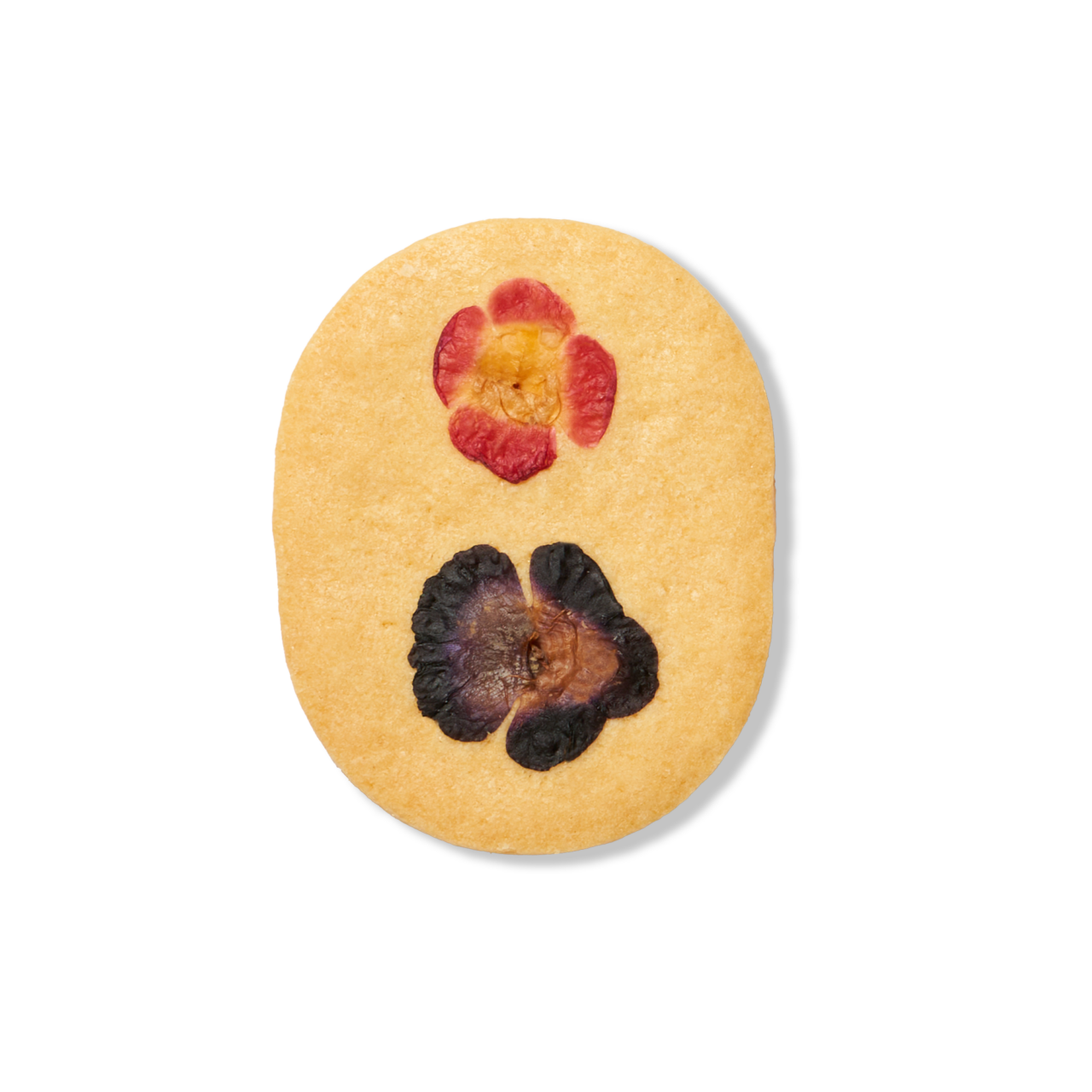 2023 中秋禮盒介紹 | 月兔與森林的交會 花見餅乾