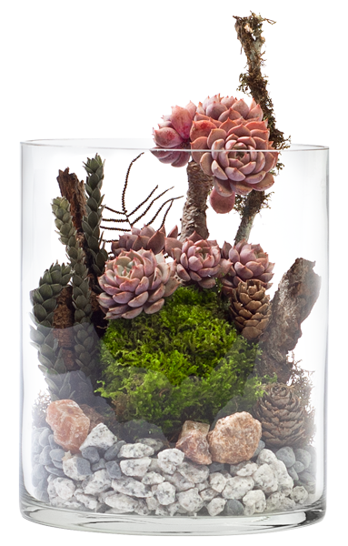 客製禮品 苔球＿修改邊界