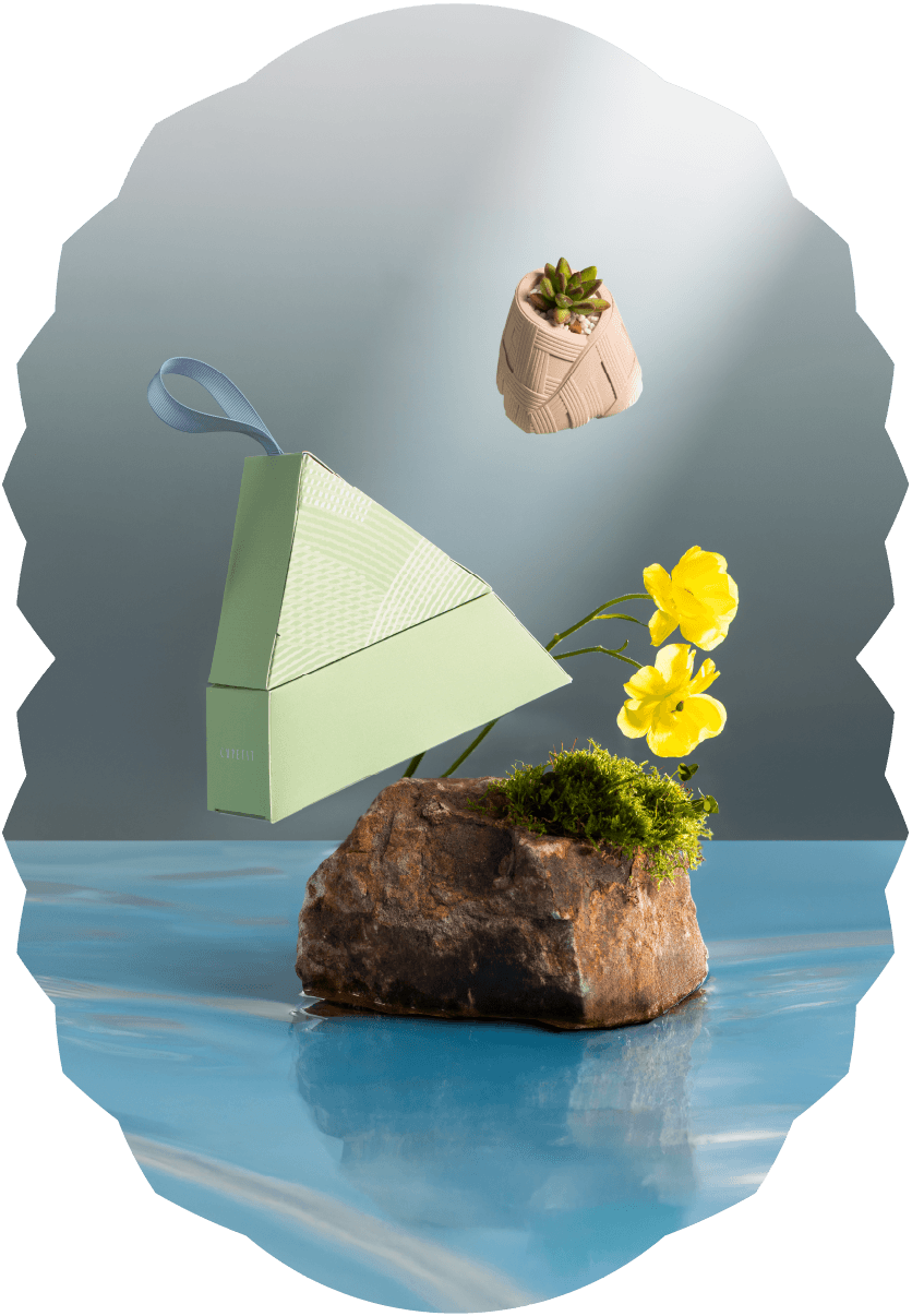 2025端午禮盒綠舟金運-禮盒介紹_粽意