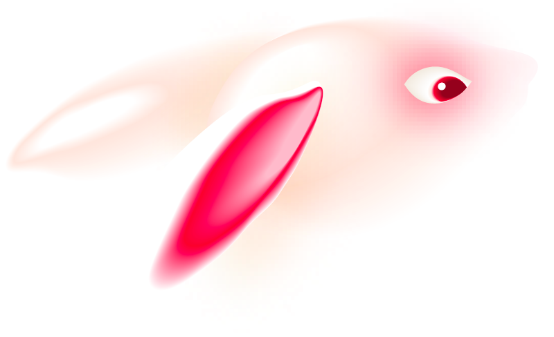 2025 中秋禮盒 秋酌綠香 2025 mid autumn left rabbit head