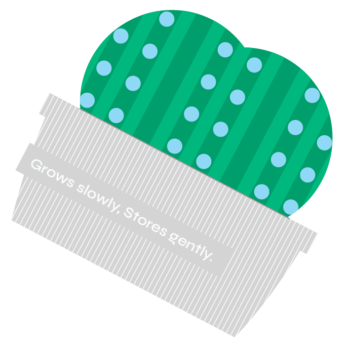 2026 端午禮盒 夏粽點 big plant 1