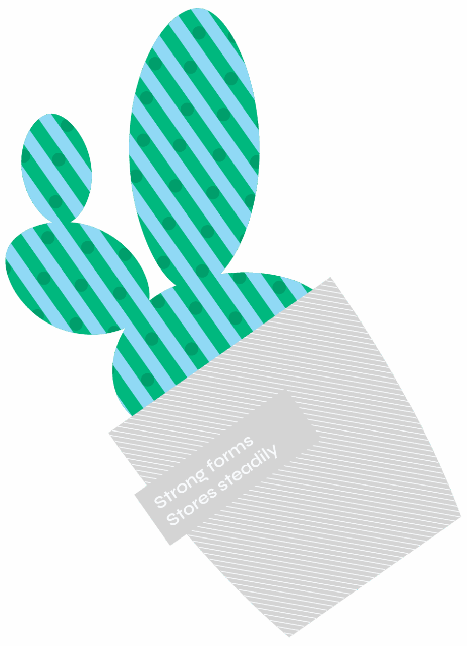 2026 端午禮盒 夏粽點 big plant 3