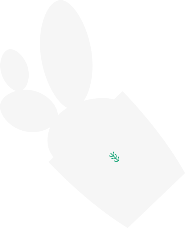 2026 端午禮盒 夏粽點 floating plant mid