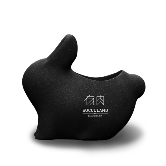 2021 年中秋植物禮盒 32 2021 年中秋植物禮盒 logo 位置 34拷貝