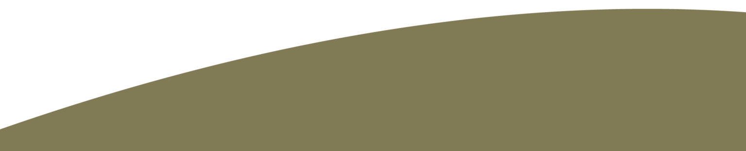 2023 中秋禮盒介紹 | 月兔與森林的交會 p3 3