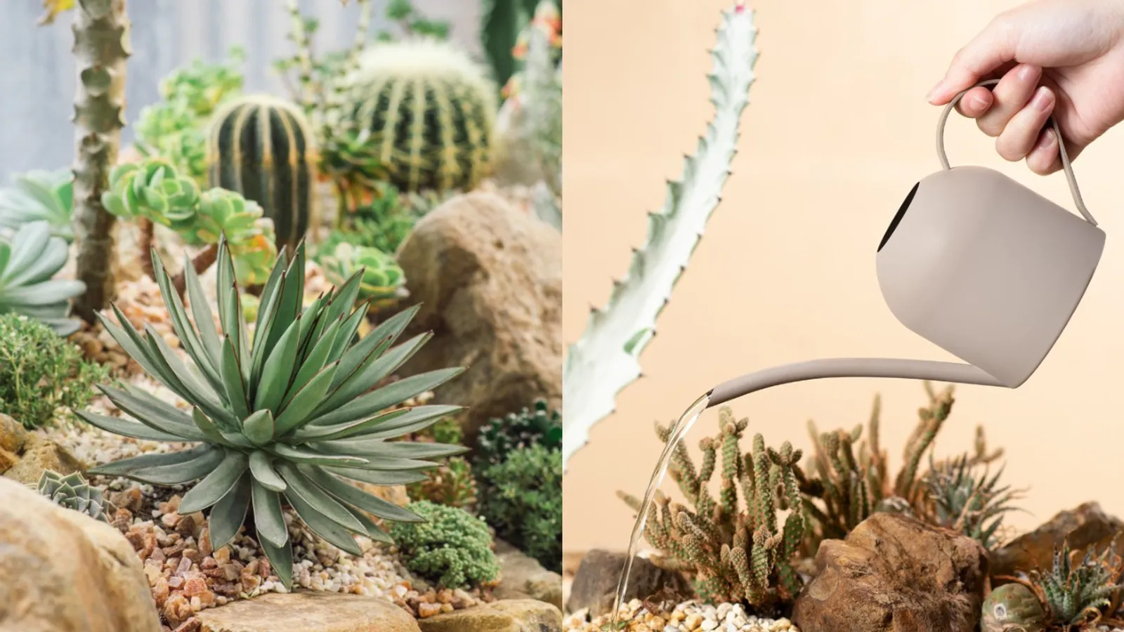 新聞媒體報導 img 1687751092 28205